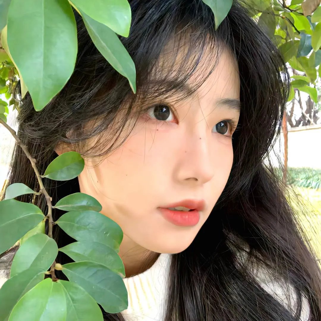 荒野情天
